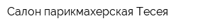 Салон парикмахерская Тесея