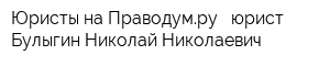 Юристы на Праводумру - юрист Булыгин Николай Николаевич