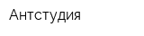 Антстудия