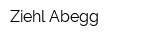 Ziehl-Abegg