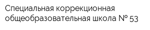 Специальная коррекционная общеобразовательная школа   53