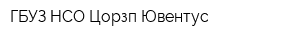 ГБУЗ НСО Цорзп Ювентус