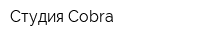 Студия Cobra