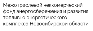 Межотраслевой неккомерческий фонд энергосбережения и развития топливно-энергетического комплекса Новосибирской области