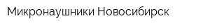 Микронаушники Новосибирск