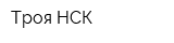 Троя-НСК