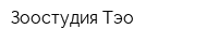 Зоостудия Тэо