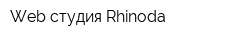 Web студия Rhinoda