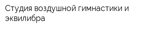 Студия воздушной гимнастики и эквилибра