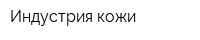 Индустрия кожи