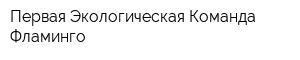 Первая Экологическая Команда Фламинго
