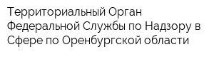 Территориальный Орган Федеральной Службы по Надзору в Сфере по Оренбургской области