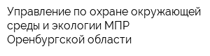 Управление по охране окружающей среды и экологии МПР Оренбургской области