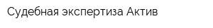 Судебная экспертиза Актив