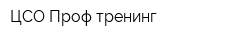 ЦСО Проф-тренинг