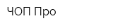 ЧОП Про