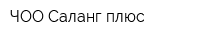 ЧОО Саланг плюс