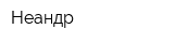 Неандр