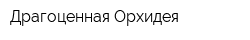 Драгоценная Орхидея