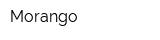 Morango
