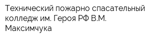 Технический пожарно-спасательный колледж им Героя РФ ВМ Максимчука