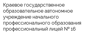 Краевое государственное образовательное автономное учреждение начального профессионального образования профессиональный лицей   16