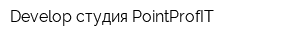 Develop-студия PointProfIT