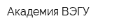 Академия ВЭГУ