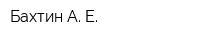 Бахтин А Е