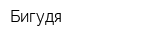 Бигудя