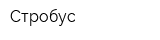 Стробус