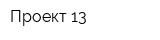 Проект-13