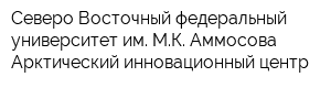 Северо-Восточный федеральный университет им МК Аммосова Арктический инновационный центр