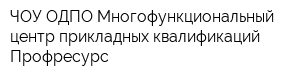 ЧОУ ОДПО Многофункциональный центр прикладных квалификаций Профресурс