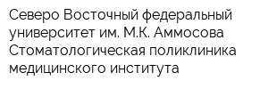 Северо-Восточный федеральный университет им МК Аммосова Стоматологическая поликлиника медицинского института