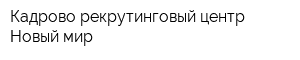 Кадрово-рекрутинговый центр Новый мир