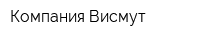 Компания Висмут