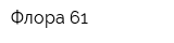 Флора 61