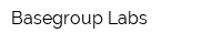 Basegroup Labs