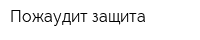 Пожаудит защита