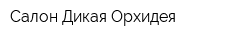 Салон Дикая Орхидея