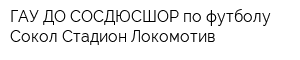 ГАУ ДО СОСДЮСШОР по футболу Сокол Стадион Локомотив