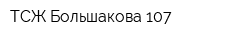 ТСЖ Большакова 107