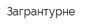 Загрантурне