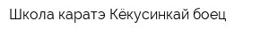 Школа каратэ Кёкусинкай боец
