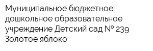 Муниципальное бюджетное дошкольное образовательное учреждение Детский сад   239 Золотое яблоко