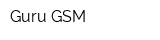Guru GSM