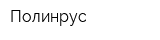 Полинрус