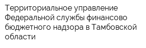 Территориальное управление Федеральной службы финансово-бюджетного надзора в Тамбовской области