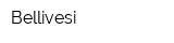 Bellivesi